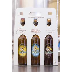 COFFRET CADEAU 6 BIERES BRUNEHAUT 33CL - Acheter vos produits BIO en ligne  - BBG - Bio Bon Gourmand