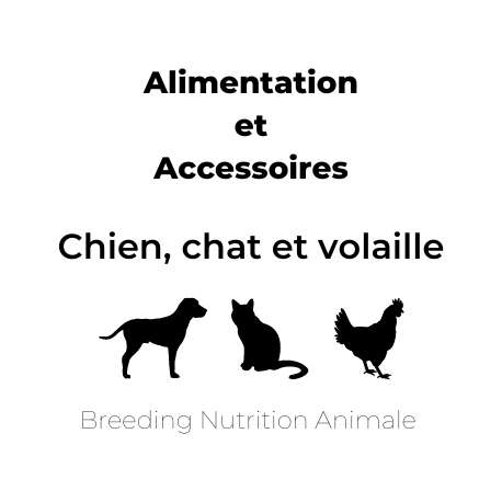 Chiens, chats et volailles : alimentation et accessoires