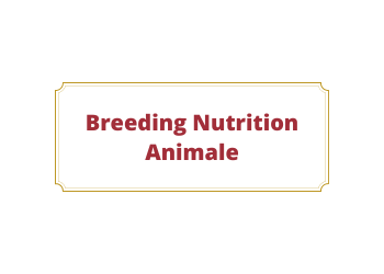 Breeding Nutrition Animale